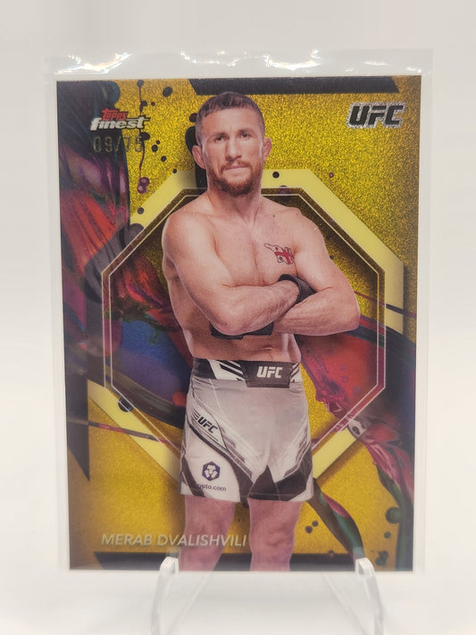 Serialized Merab Dvalishvili